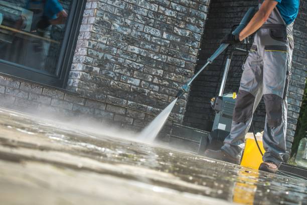 Best Animal Enclosure Cleaning  in San Carlos Park, FL