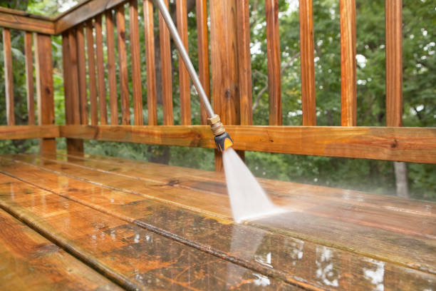 Best Dumpster Area Cleaning  in San Carlos Park, FL
